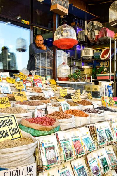 Tr Istanbul Marketstall Thinking Man Seeds Birdcages900
