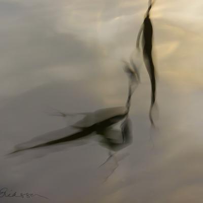 Abstract Singlereed Reflection Watersurface