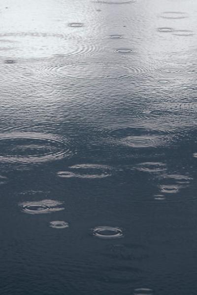 The Lake Ripples Raining Circles2