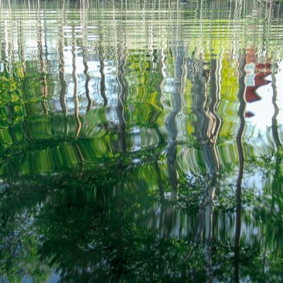 Watersurface Reflections Reeds House Green Red