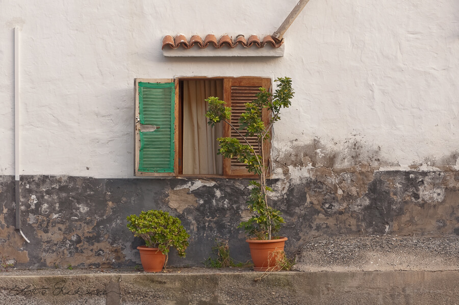 ES_GranCanaria_mediterranean_window_shutters_pot_plants900