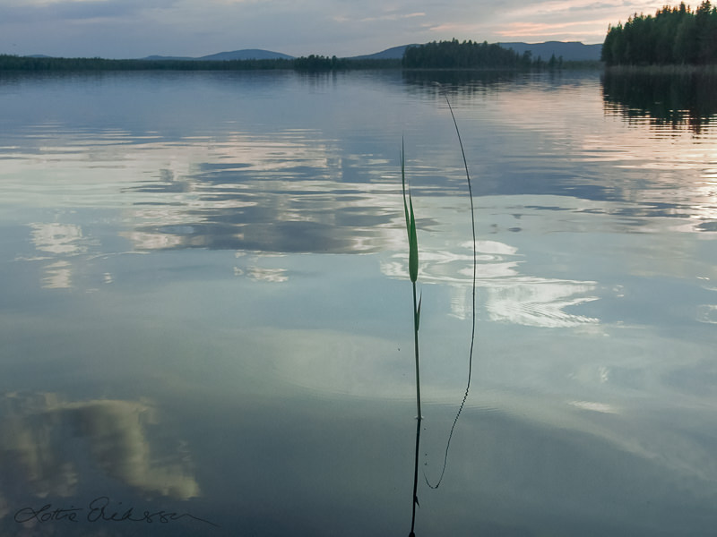 The_lake_tranquil_straw_forest_cloudreflections_blue 2
