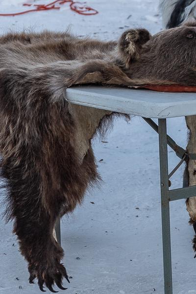 Se Jokkmokkmarket 30c Bear Fur W Head900 Se Jokkmokkmarket 30c Bear Fur W Head900