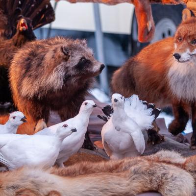 Se Jokkmokkmarket Marketstall Stuffed Animals Fox900