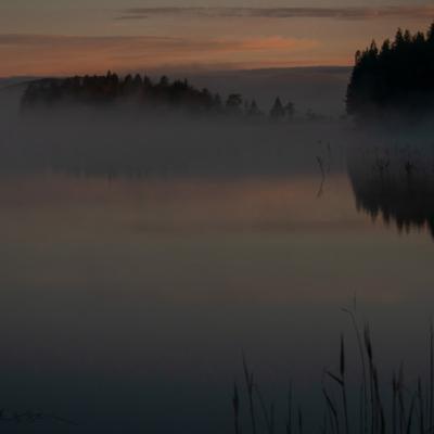 Se Lake Dusk Fog Reeds Islands Pinksky