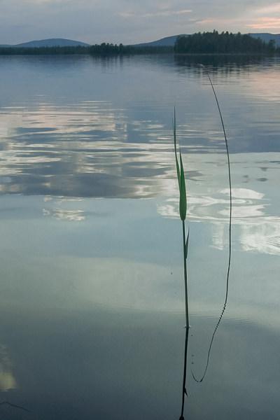 Se Lake Tranquil Straw Forest Cloudreflections Blue