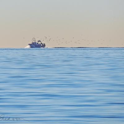 Mediterranean Blue Fishingboat Birdtrail Horizon