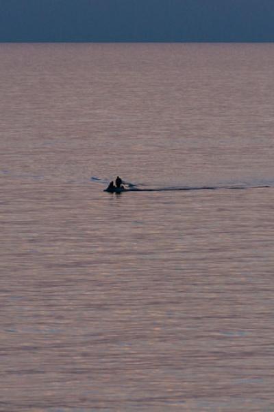 Mediterranean Dusk Vastsea Tinyboat Fishermen Mediterranean Dusk Vastsea Tinyboat Fishermen