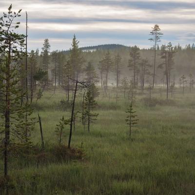 Se Mire Summernight Dew Haze