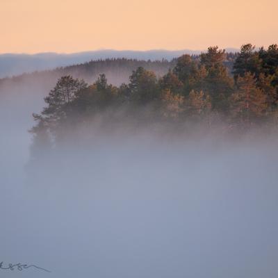 Se Norrbotten Dawn Mountains Fog Disappearing Forests900