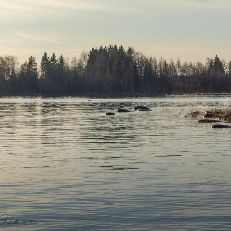 Se 08 Water Surface Rocks Background Island900