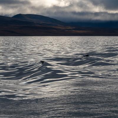 Isfjorden Dramatic Clouds Waves Baremountains