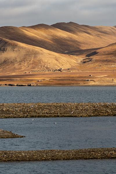 Svalbard Adventsfjorden Mountains Cabins Foreground Birds Embanksments900