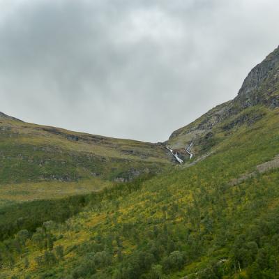 No Mountain Peak Bare Decidious Forest Sky Overcast900