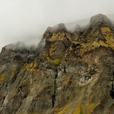 No Svalbard Fuglefjellet Moss Cloud Fog 