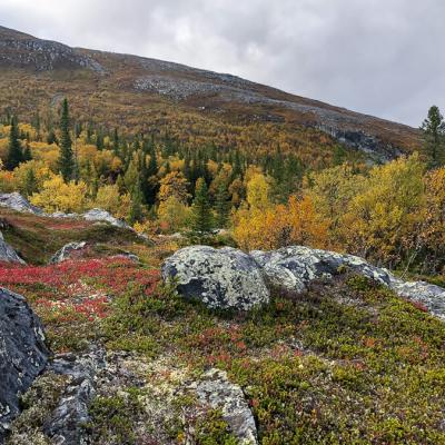 Se Sllsjfjllet Autumncolours Bare Mountain Se Sllsjfjllet Autumncolours Bare Mountain