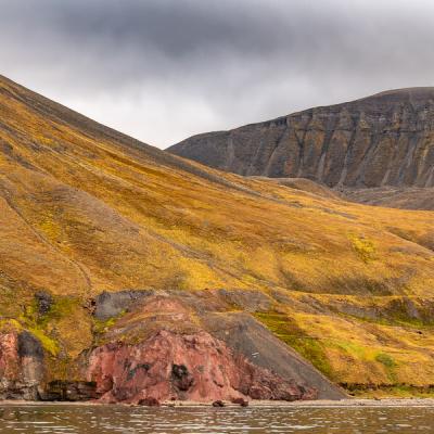 Svalbard Mosscovered Mountains Sloping Grey Sky900 Svalbard Mosscovered Mountains Sloping Grey Sky900