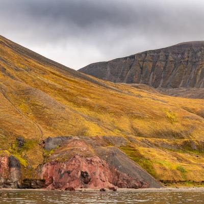 Svalbard Mosscovered Mountains Sloping Grey Sky900