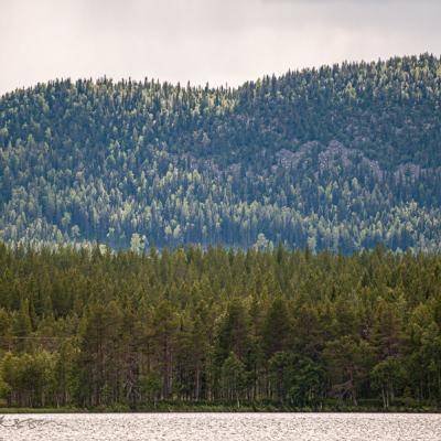 Se Lappland Lakeside Coniferous Forest Mountain Peak900
