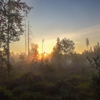 Summer Sunrise Clear Cut Mire Sky900
