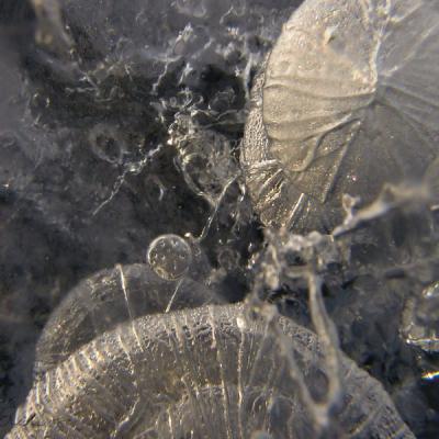 Ice Inside Universe 51