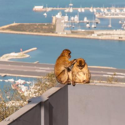 Berbers Couple Ontheedge Precipe Gibraltarbay