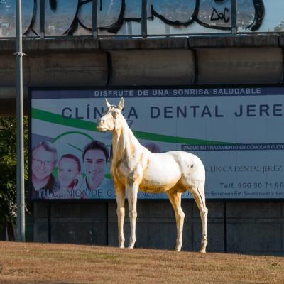 Spain Horse Statue White Background Ads Graffiti900 Spain Horse Statue White Background Ads Graffiti900