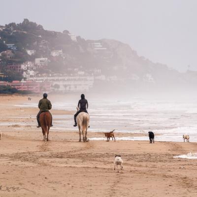 Spain Riding On The Beach Girls Horses Dogs Foggy900