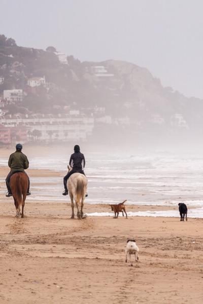 Spain Riding On The Beach Girls Horses Dogs Foggy900 Spain Riding On The Beach Girls Horses Dogs Foggy900