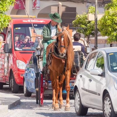 Spain Working Horse Carriage Cars900 Spain Working Horse Carriage Cars900