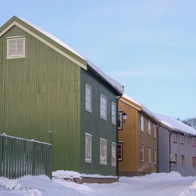 No Roros Street Plank Green Yellow Olive Grey Houses Snow900