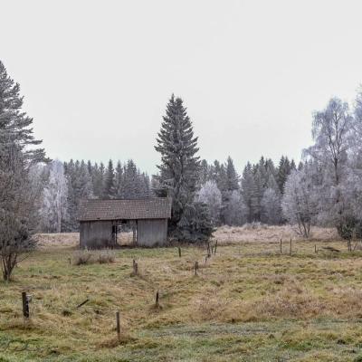 Se Jamtland Field Barn Frosty Trees900