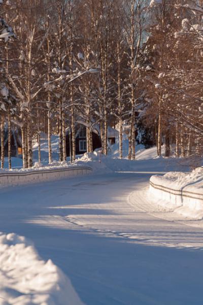 Se Norrbotten Winter Road Houses Birchtrees Snow Se Norrbotten Winter Road Houses Birchtrees Snow