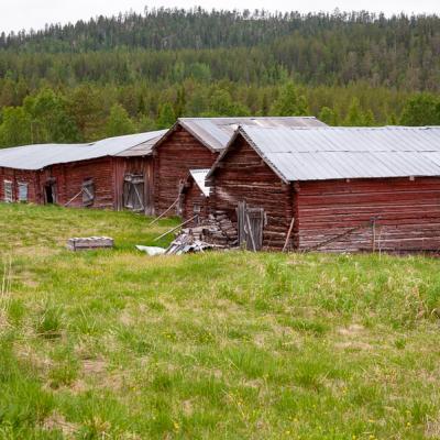 Old timbered barns bu the meadow in a forested landscape, typical of Norrbotten, Sweden Se Old Barns Upanddown Mountain Forest Summer900