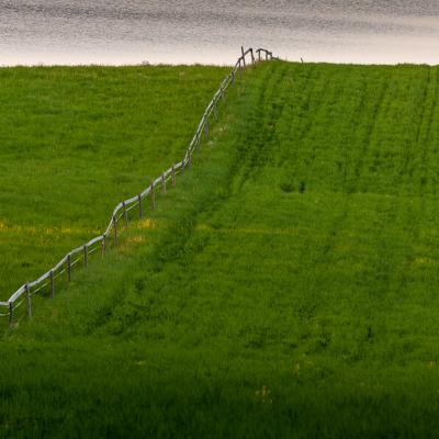 Fence cutting through a green, hilly field down to a small lake, summer in Lill-Korsträsk, Sweden Se Pasture Field Downhill Uphill Fence Lake Summer900