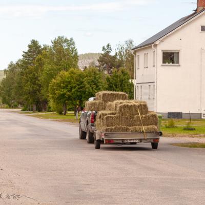 Hayload transport in modern days, by truck and caravan, no horse carriage nowadays. A summers day in Vistträsk, Sweden Se Village Street Houses Car With Hayload Summer900