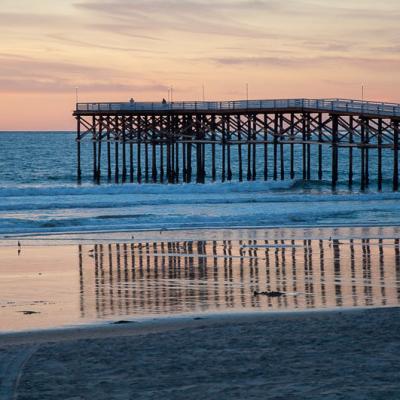 Sandiego The Pacific Pier Dusk Beach Reflection Birds People